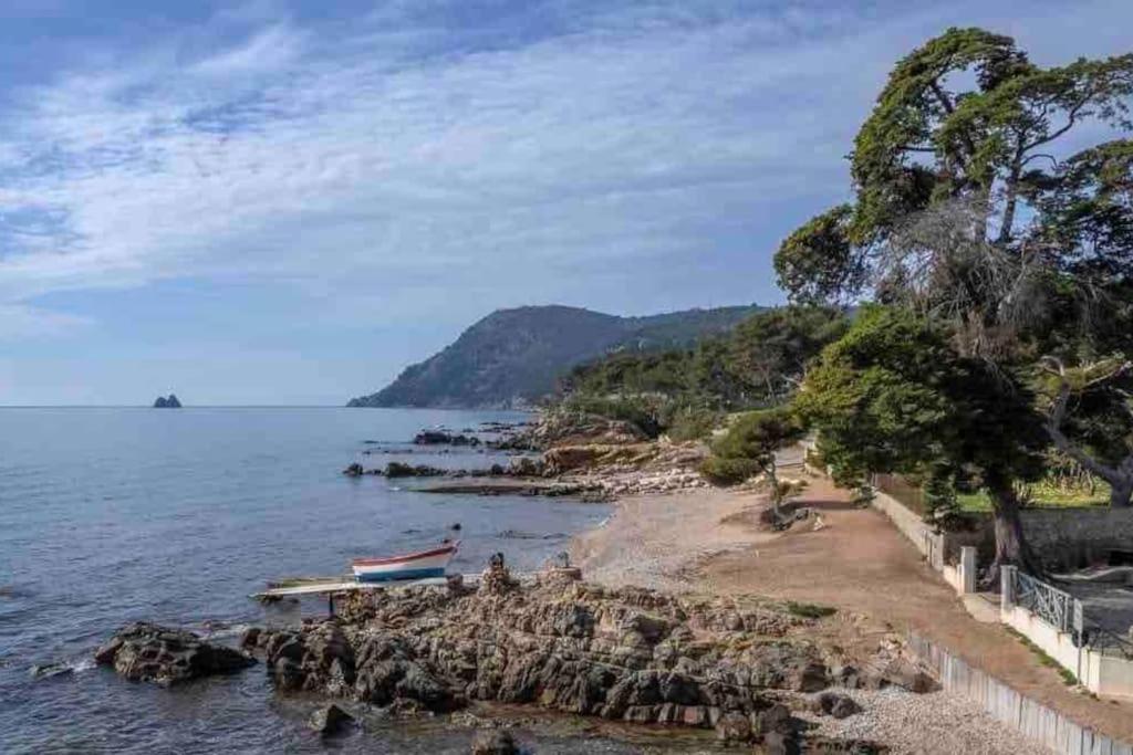 Apartamento Le Criotto La Seyne-sur-Mer Exterior foto